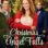 Christmas in Angel Falls (2017) izle