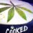 Cooked With Cannabis : 1.Sezon 1.Bölüm izle