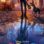 Coco (2017) izle