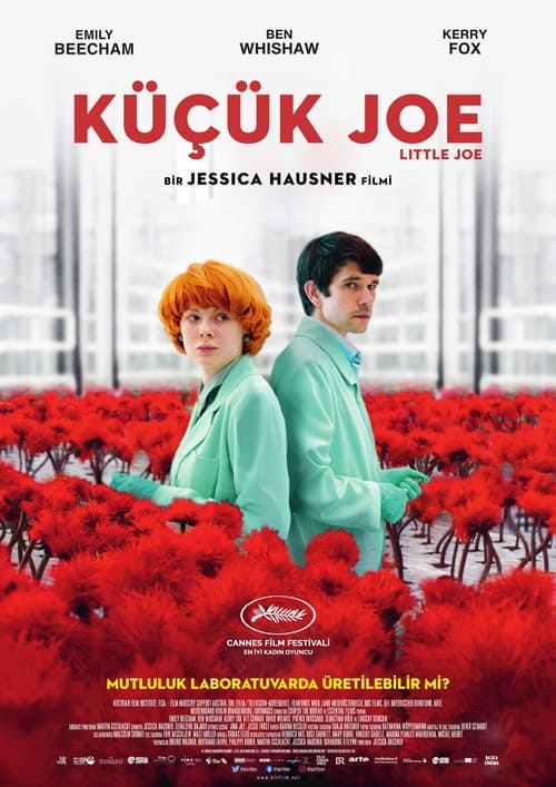 Küçük Joe (2019)